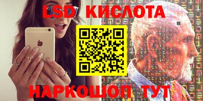 прущие грибы Можайск