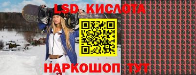 прущие грибы Можайск